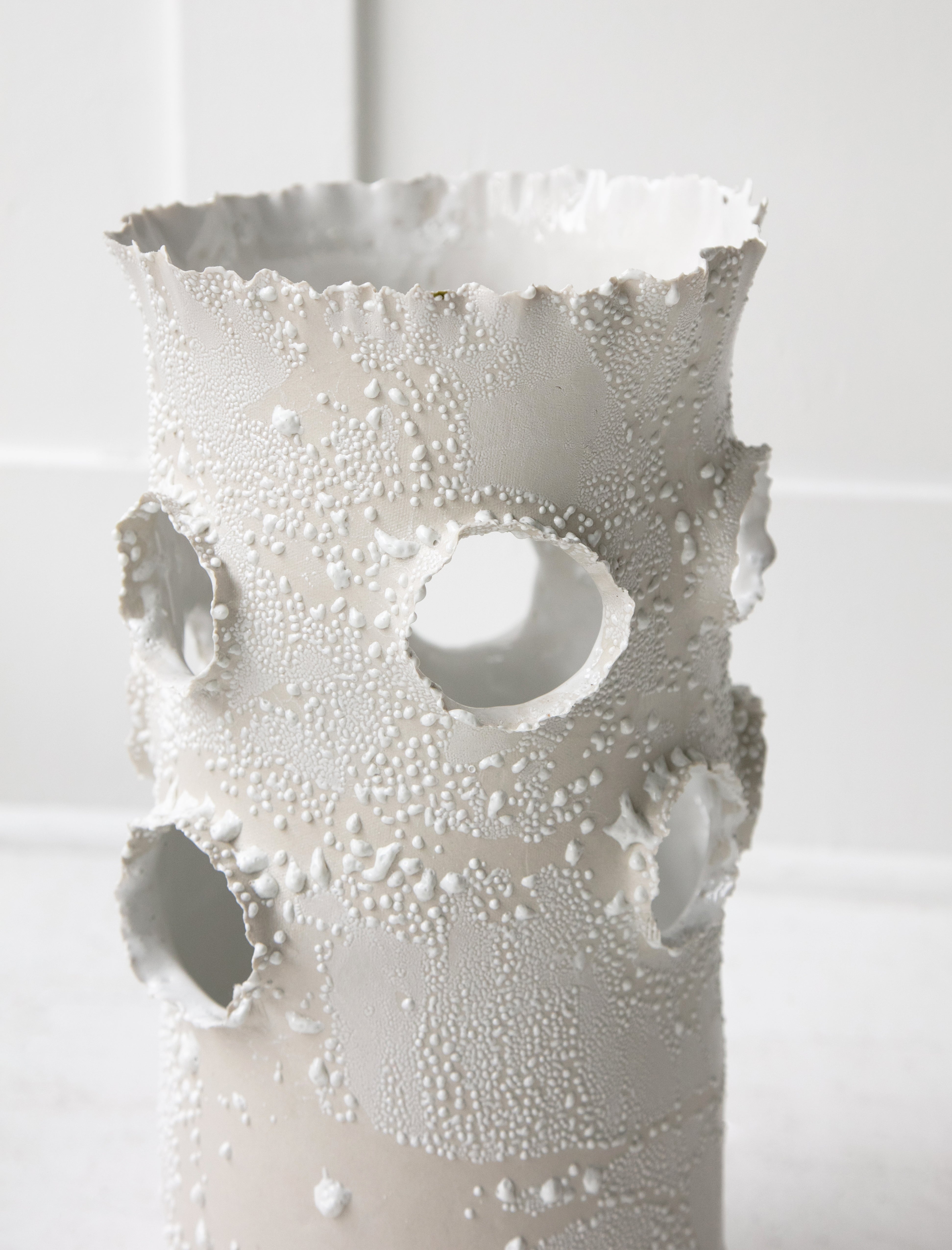 Roosting Vase White Lichen