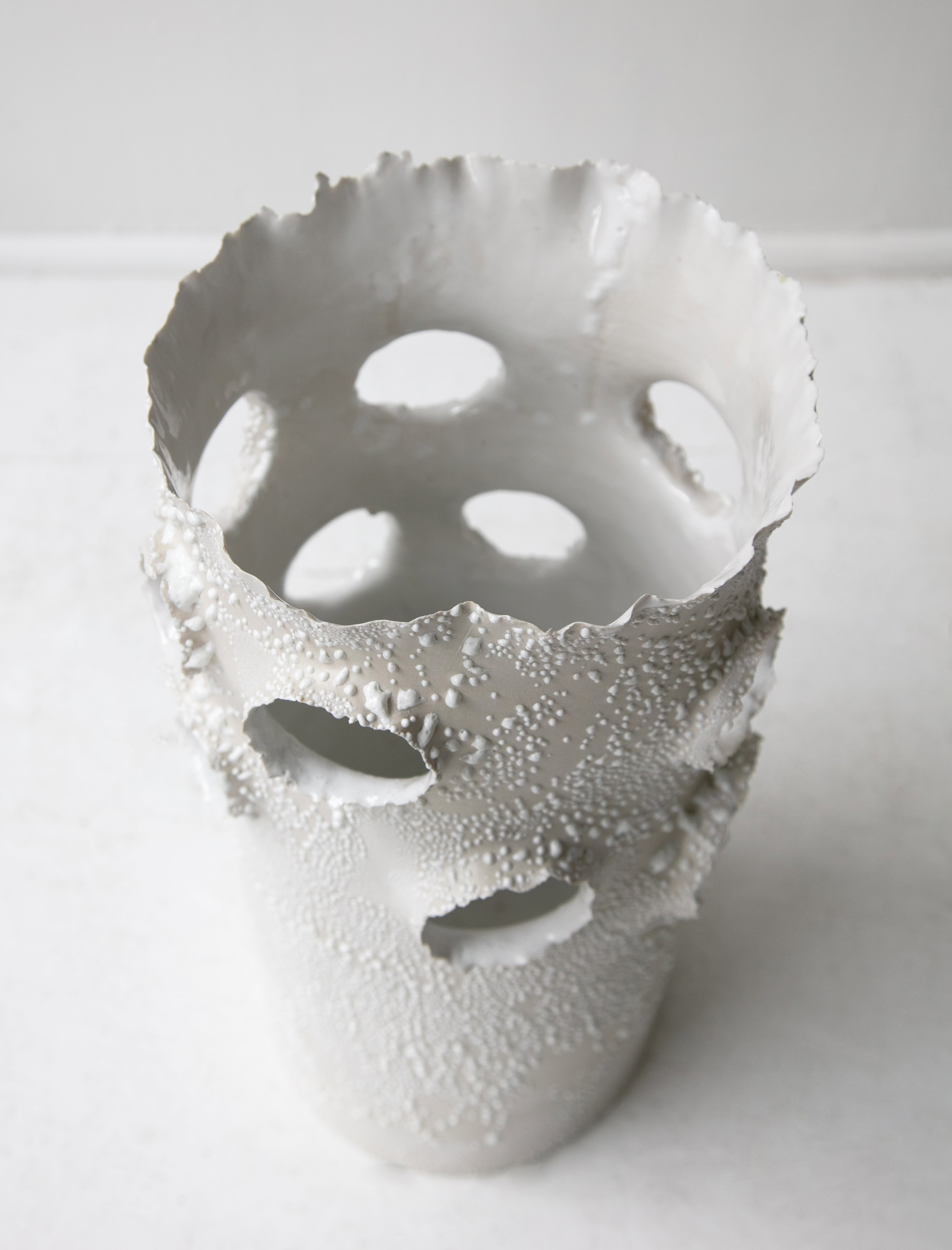 Roosting Vase White Lichen