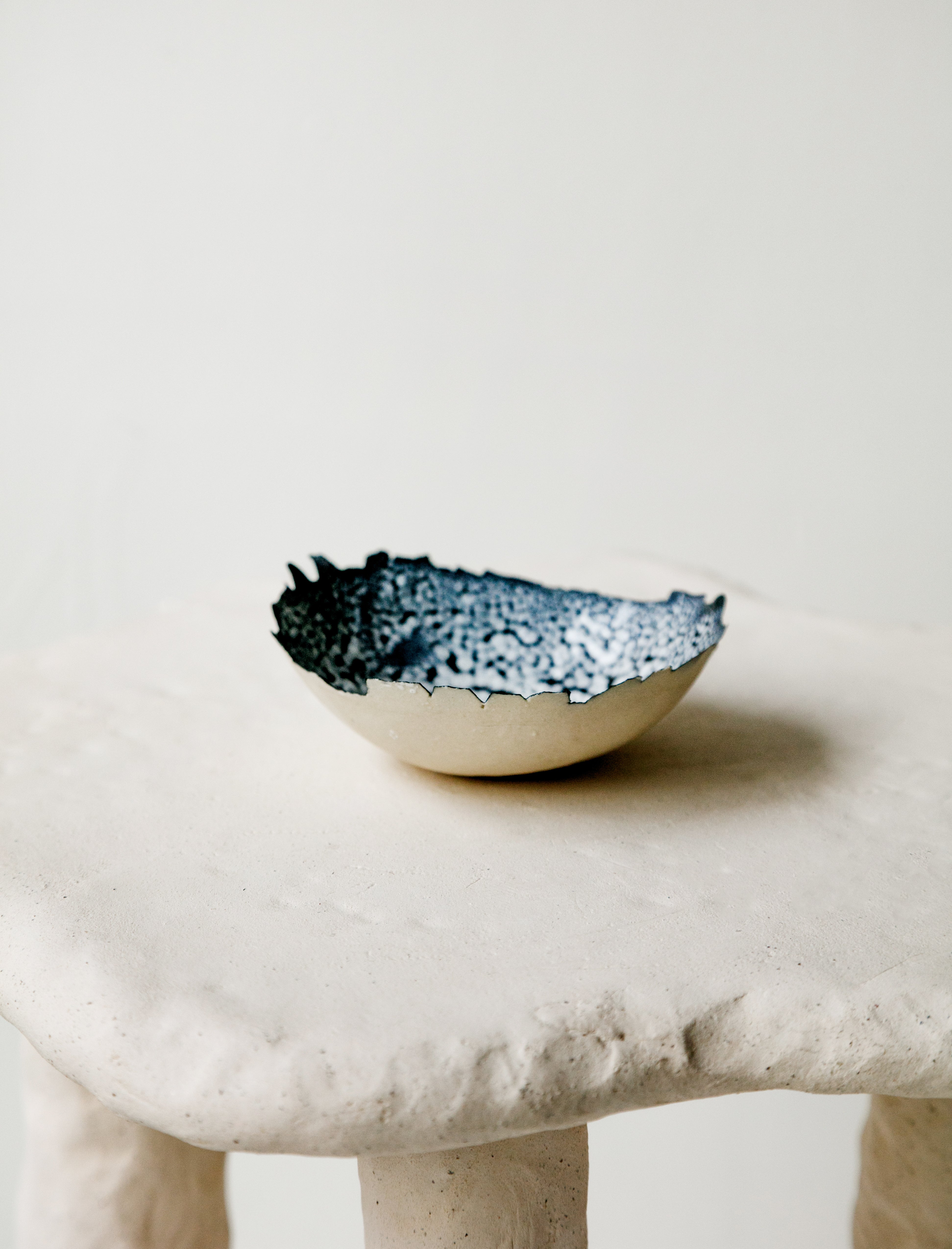 Nathalee Paolinelli Eggshell Dish Black Lichen / White Bottom