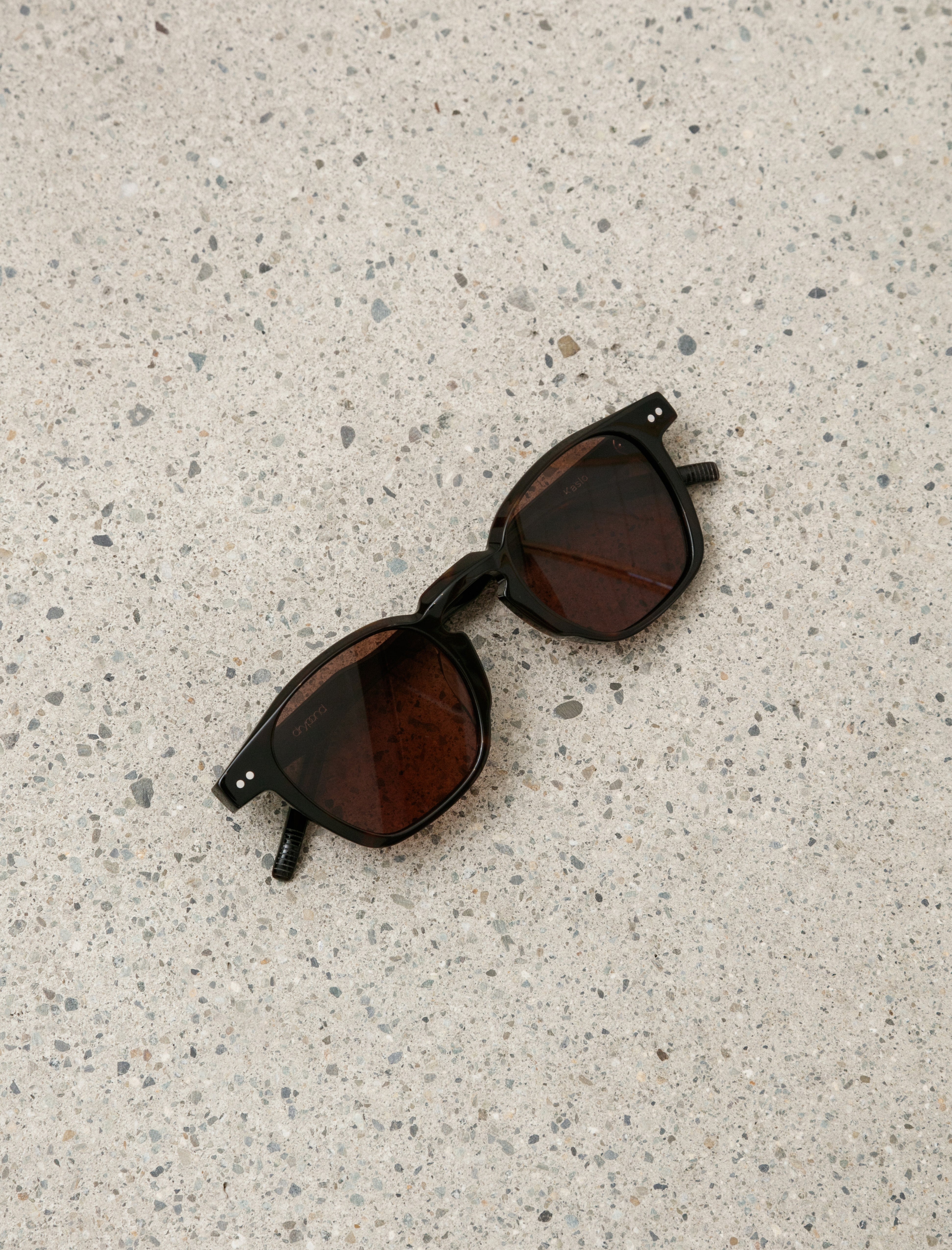 Dry Pond Kaslo Sunglasses Tortoise