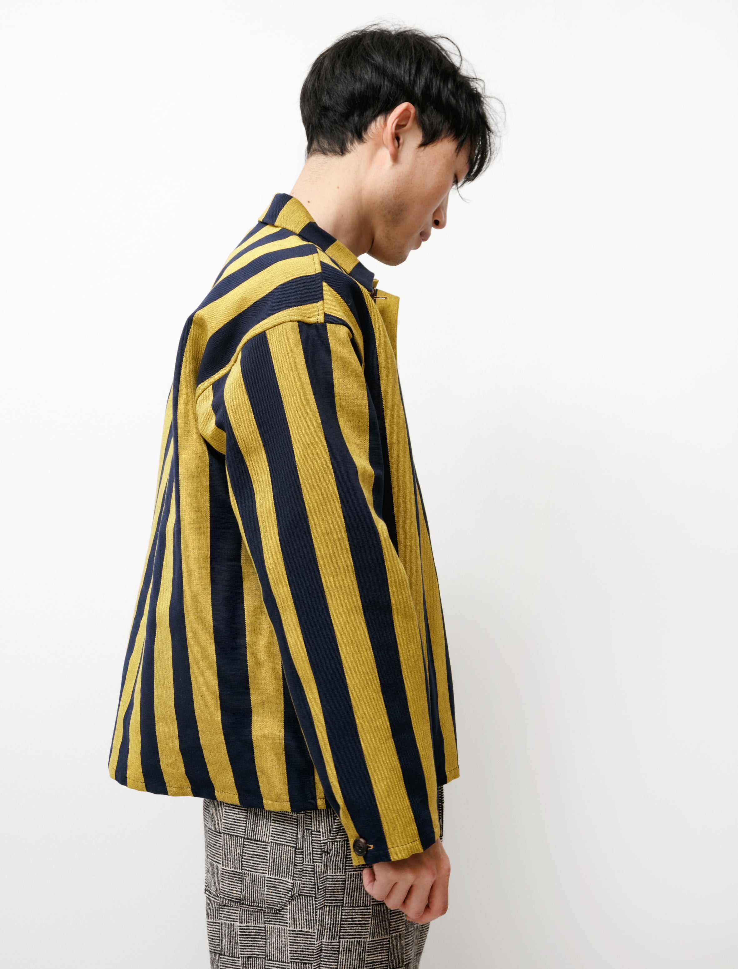 Bode Champlain Stripe Pullover